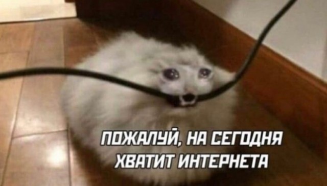 Тем временем Ксения Собчак решила покрасоваться своей физической формой в сторис