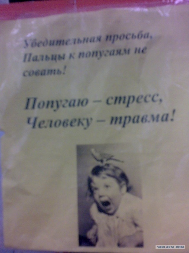 Что мы видим вокруг себя