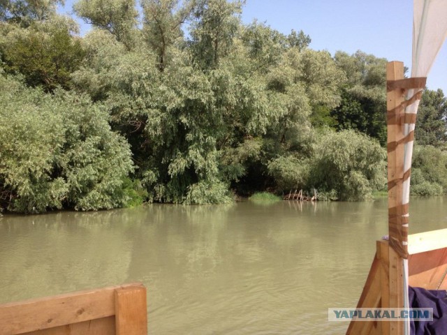 Плотские утехи