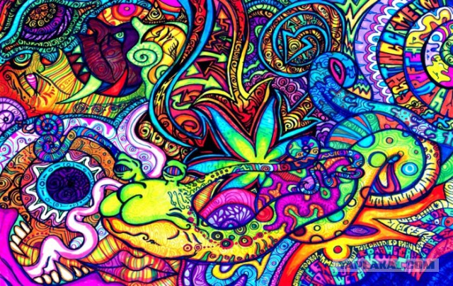 Удивительные факты о зрении у животных