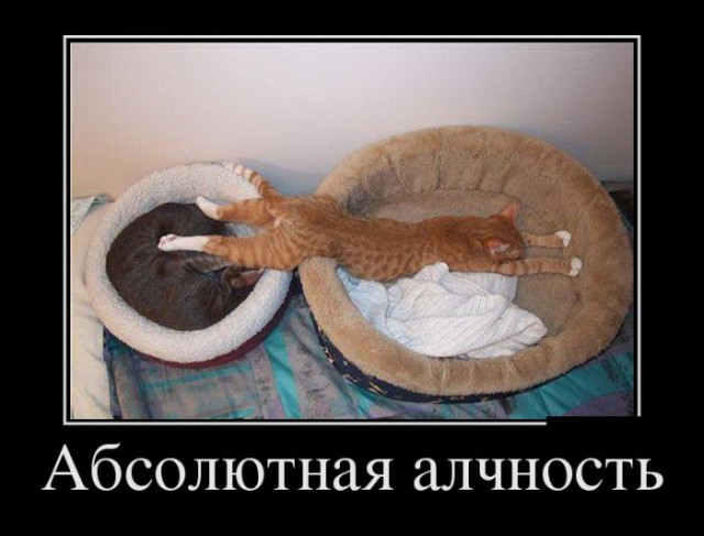 Демотиваторов пост, добавляйте свои