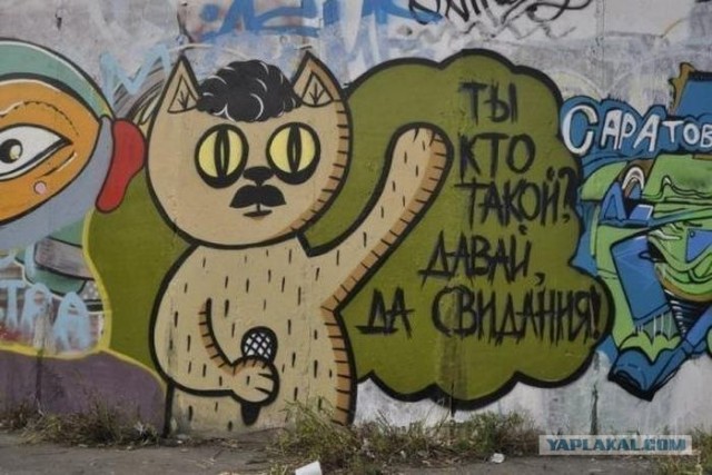 Инструкция: как правильно купать кота