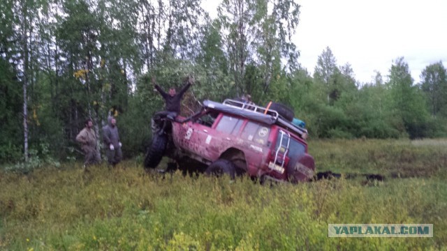 Самый ожидаемый день для Жыпера