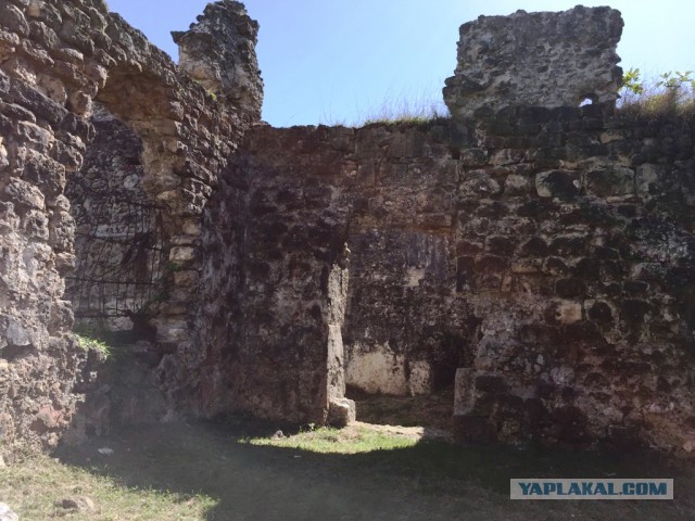 Абхазия, пансионат "Самшитовая роща"