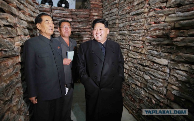 Большая подборка фото Любимого Маршала!