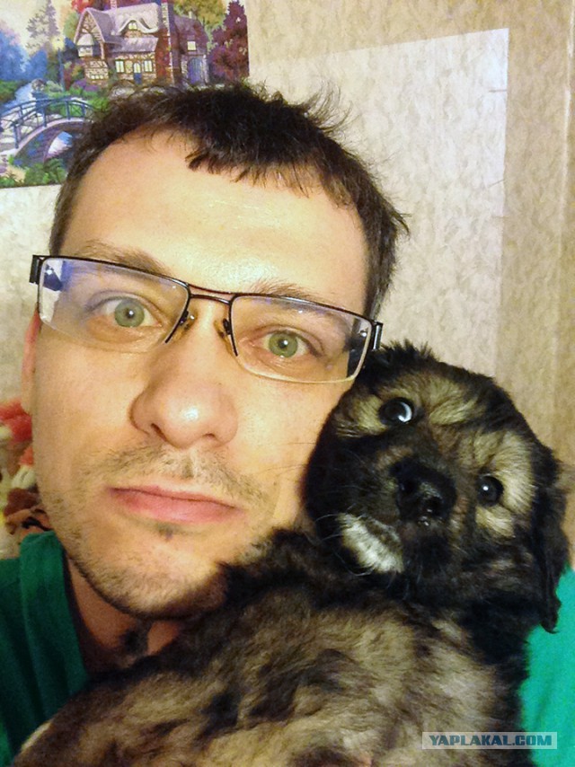 Как мы спасали замерзающих щенков