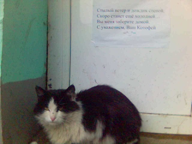 "Толика - не впускать!"