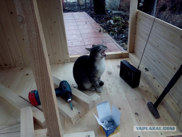 Будка для собаки своими руками.