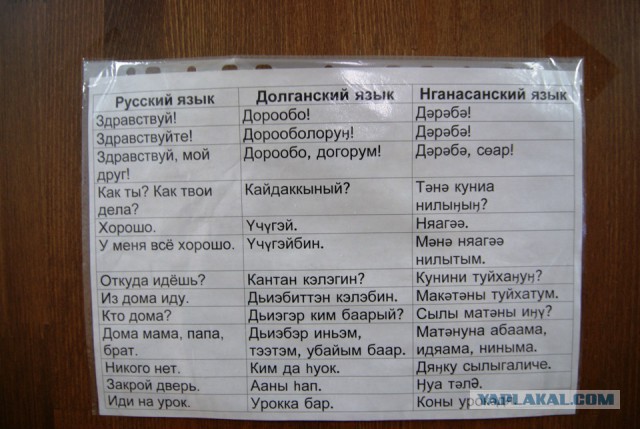 Легковушка на мысе Челюскина