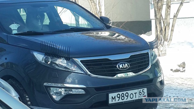 Картинки не из интернета.....
