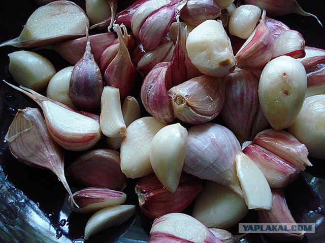 Готовимся к войне с вампирами. Время пришло