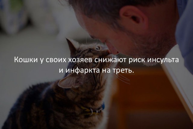 40 интересных фактов в картинках.