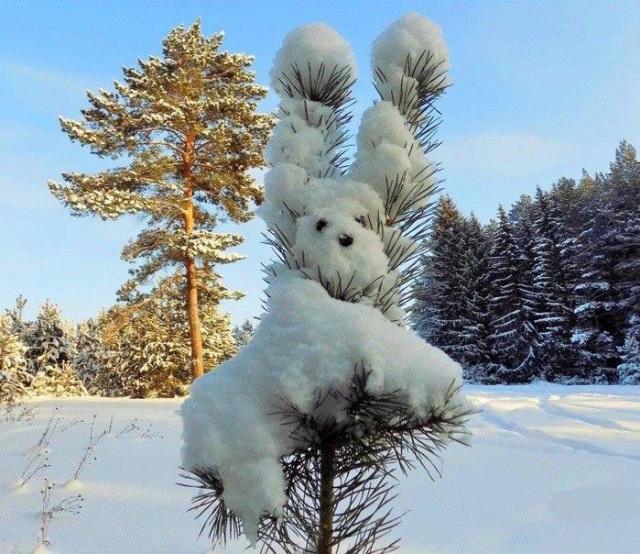 Прикольные картинки