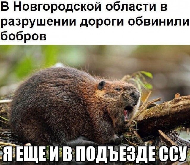 Подборка интересных и веселых картинок