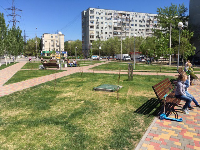 В Волгограде вырубили "Парк вдов" высаженный женами погибших бойцов.