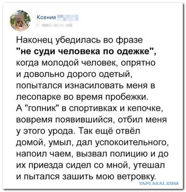 Забавные шутки, фразы и комментарии из этих ваших интернетов