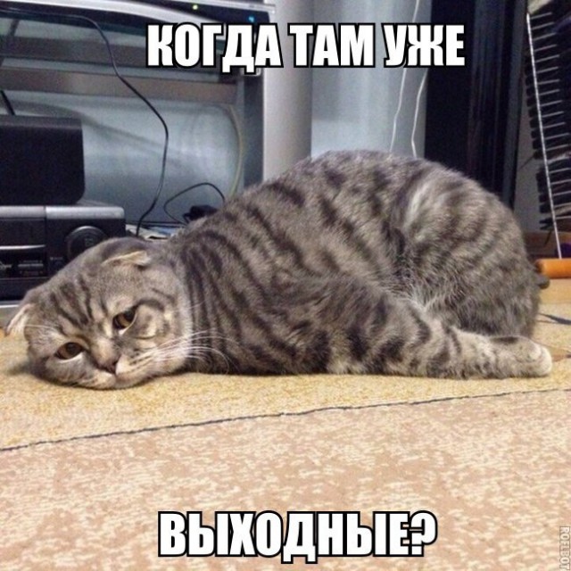 Нестандартный юмор