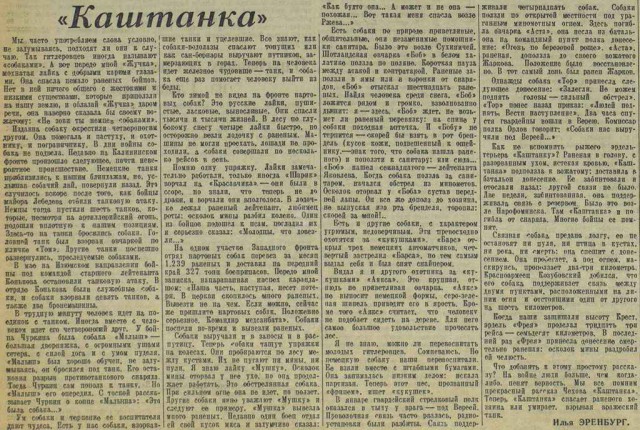 Собака — друг человека, а чиновники нет. И пусть только попробуют снять плакат!