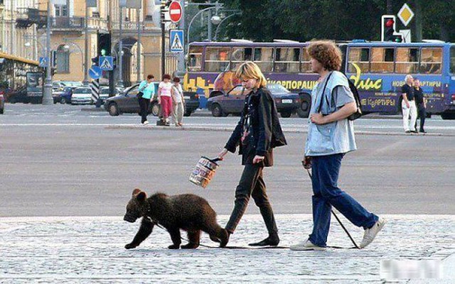Выловлено в наших сетях