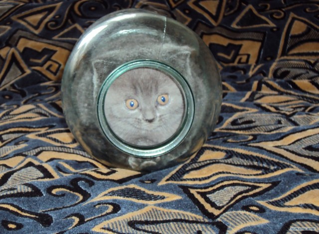 Котовторник 13.12.11 - магическе числа