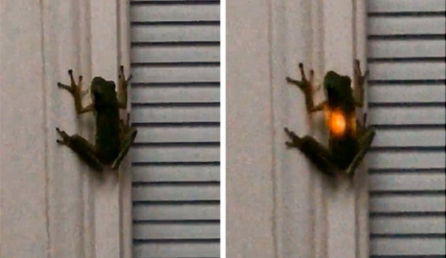 Фото от людей, которые смогли бы сделать интересными даже школьные учебники