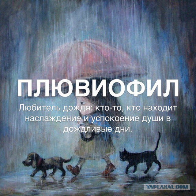 Пакуйте чемоданы