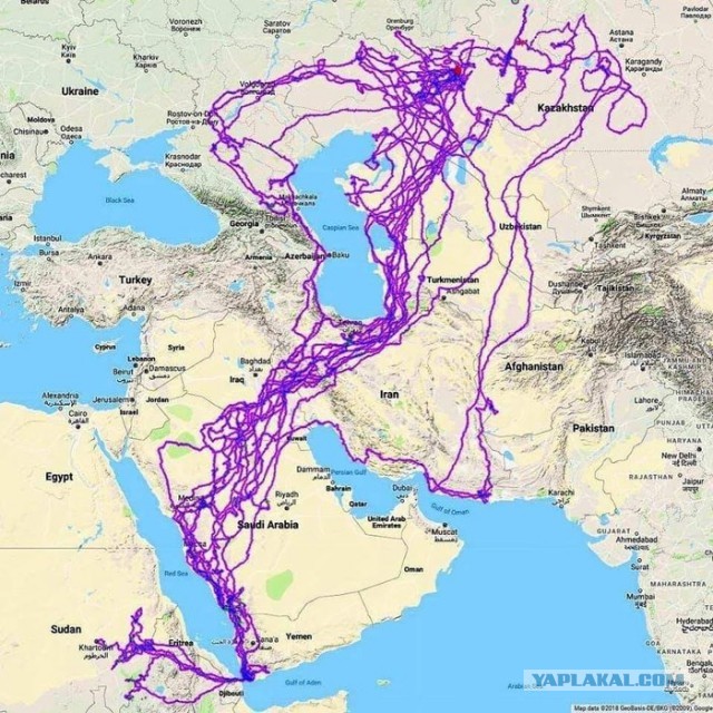 Комментарии к постам в разных группах, которые вызвали улыбку