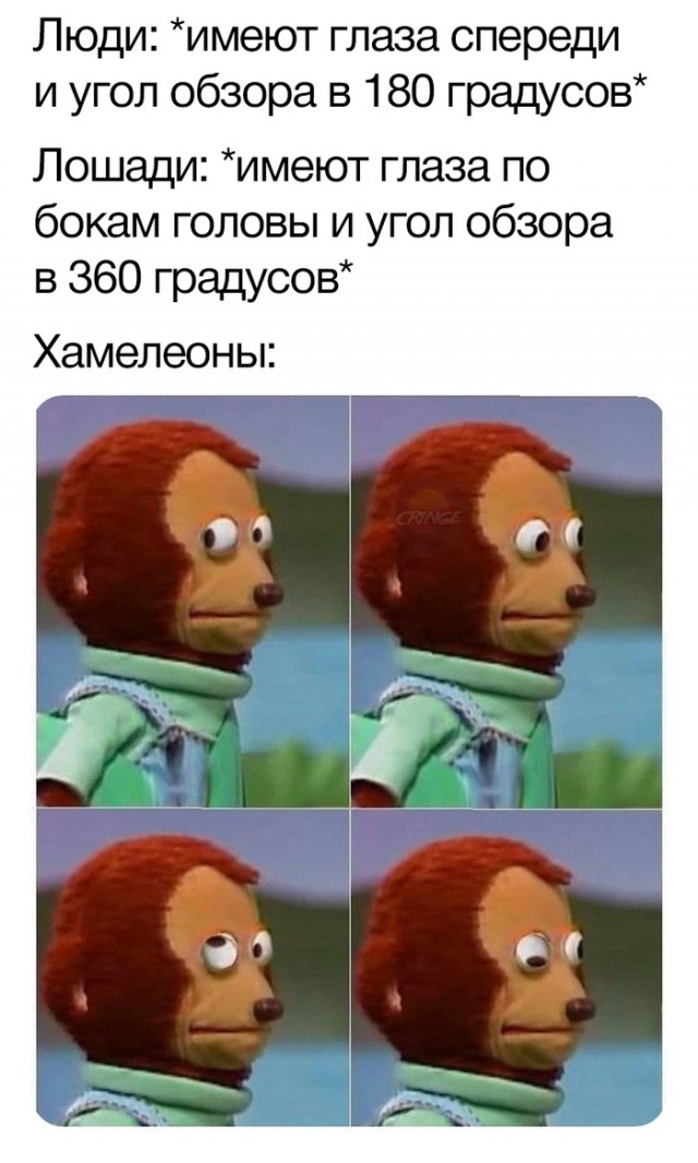Картинки разнообразные. На злобу дня и на доброту (06.08)