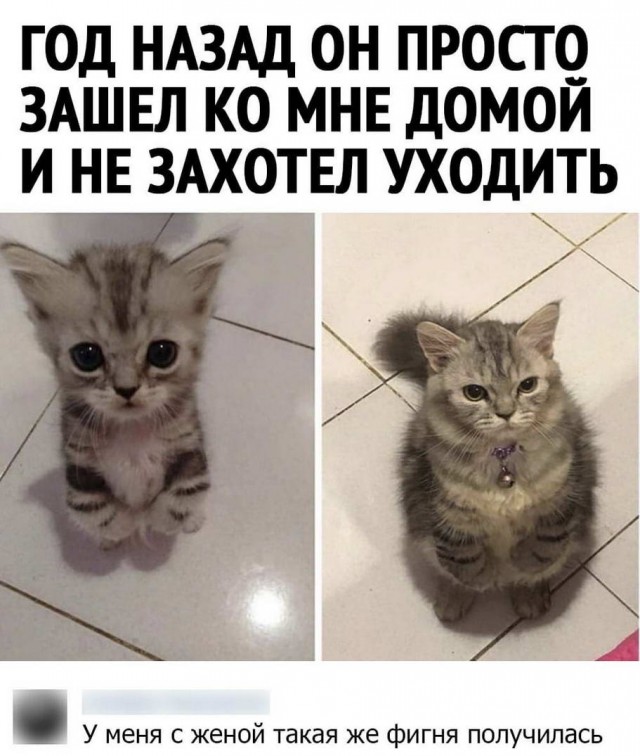 Всё не зря