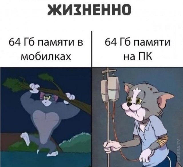 Немного картинок для настроения 09.11.20