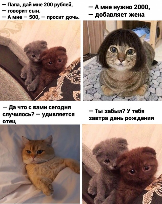 Юмор в картинках 30.11.20