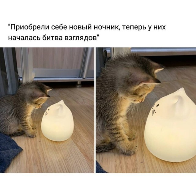 Забавные шутки, картинки и фразы из этих ваших интернетов
