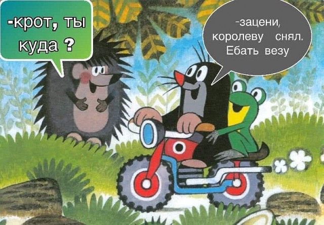 Картинки. Упоротые и не очень 21.01.2021