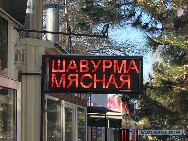 Что он там про шаурму сказал?