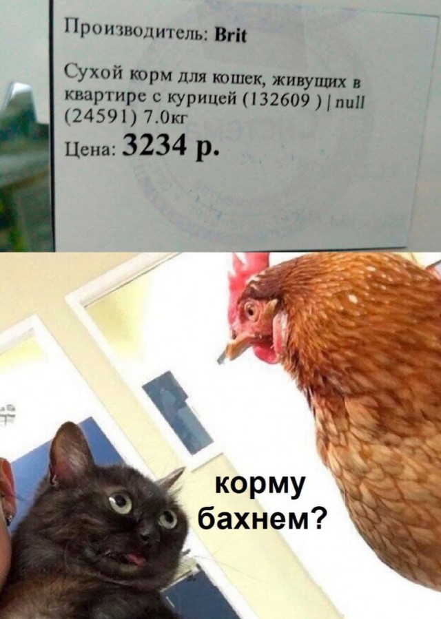 Не очень адекватный юмор