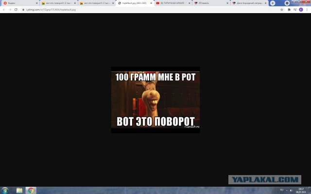 Дело бородачей нетрадиционных национальностей раскрыто