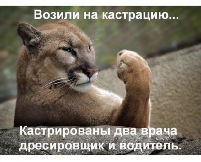 Так себе картинки 23.07.21