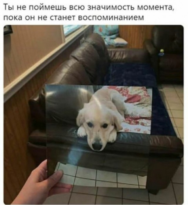 Весёлый полтишок 29.10