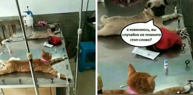 До нового года осталось...