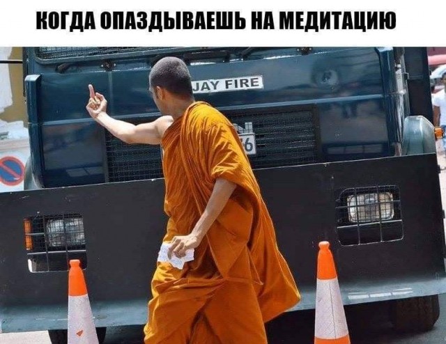 Всяческие картинки 24.11.2021