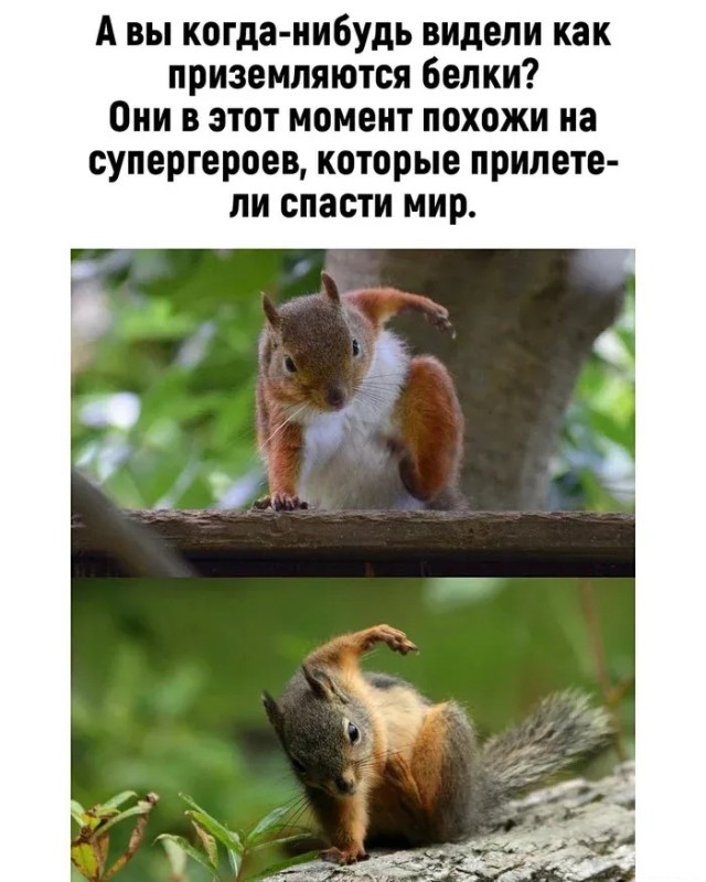 Картинки разные 31.01.22
