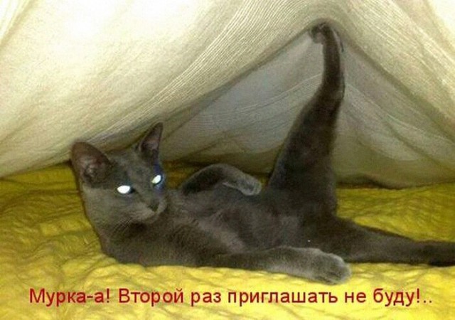 Так себе картинки 24.02.22