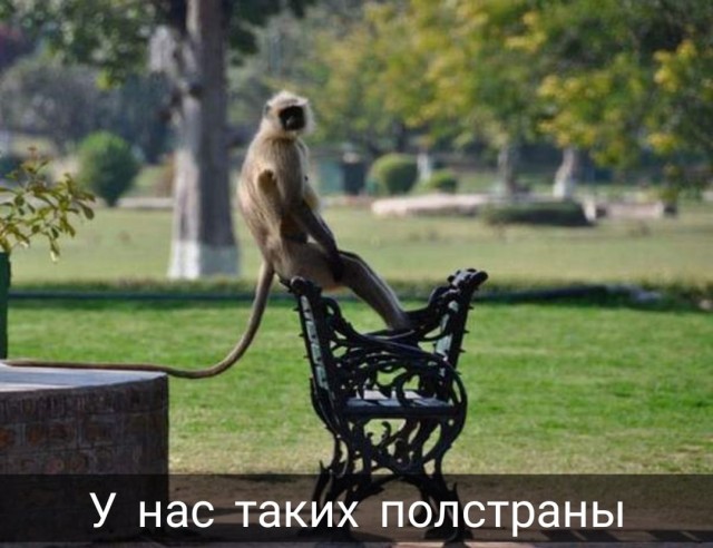 Так себе картинки 30.03.22