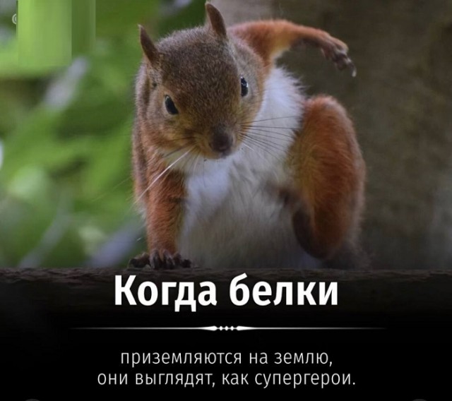 Картинки с надписями и всякие жизненные фразы