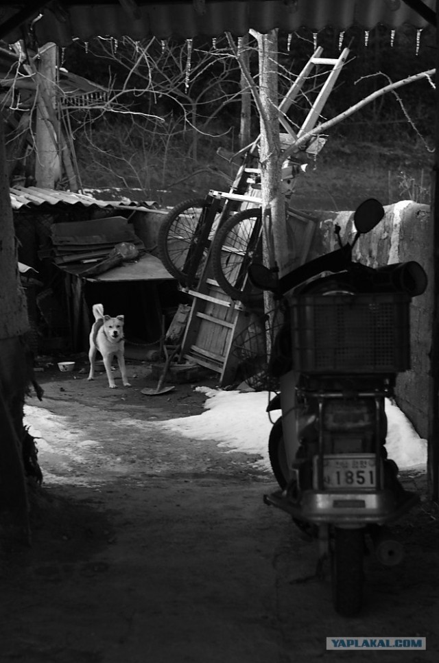 НЕтуристическая Корея