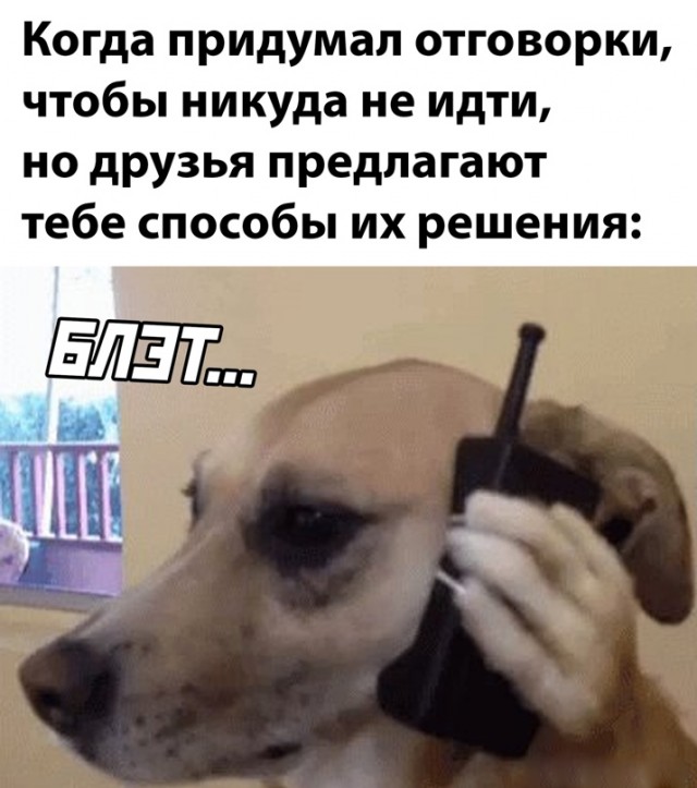 Картинки и мемы для настроения. Выходные близко...