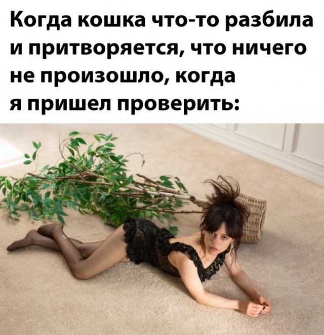 Картинки и мемы, всем хороших выходных