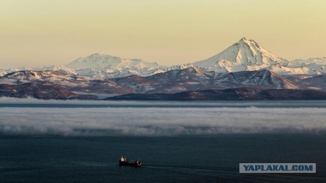 Предсказавший трагедию в Турции ученый предрек России «мегаземлетрясение»