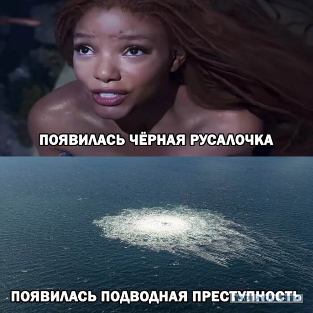 «Устав „Вайлдберриз“ — чеченцев и дагестанцев на работу не принимают»