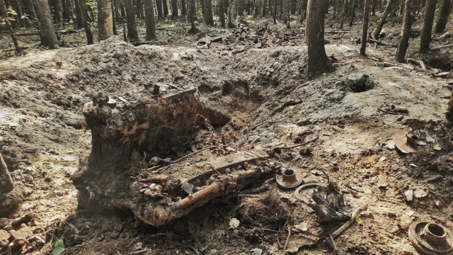Небесная "Буря". Тайна синявинских лесов